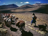 Zájezdy do Peru