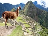 Dovolená v Peru - to není jen Machu Picchu