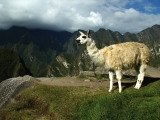 Machu Picchu – splněný sen